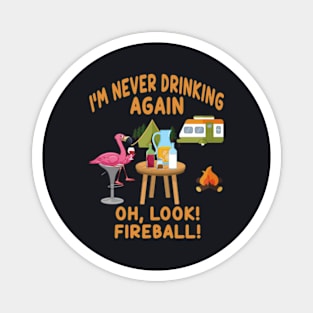 I M Never Drinking Again Oh Look Fireball Magnet